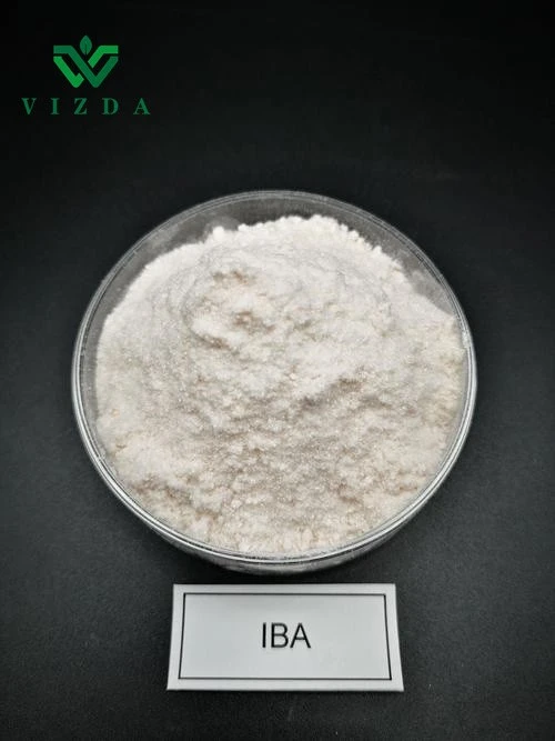 IBA 4-indol-3-ylbutyric Acid