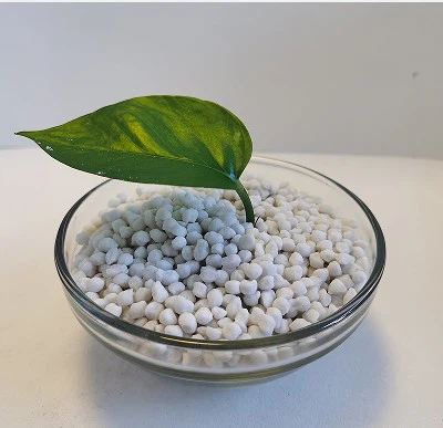 Efficient Use Of Nitrogen Fertilizer Ammonium Sulphate