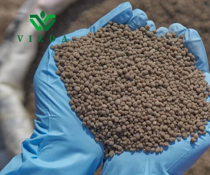 Onions Phosphorus Top Dressing DAP Fertilizer