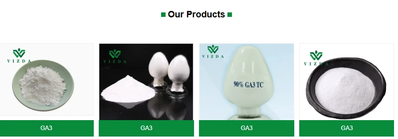 product-798-280